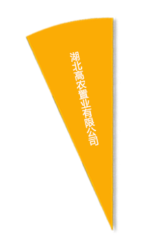 首页- J9集团国际站官网入口