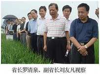 首页- J9集团国际站官网入口